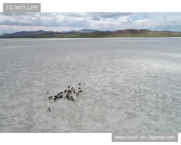 “宽板滑水：东三叉湖马鞍山赛场成运动爱好者的新天堂”